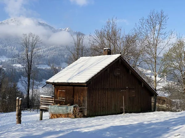 İsviçre çayırlarındaki yerli dağ kulübeleri ve ahşap ahırlar taze beyaz kar örtüsüyle kaplıdır, Nesslau - Obertoggenburg, İsviçre (Schweiz)