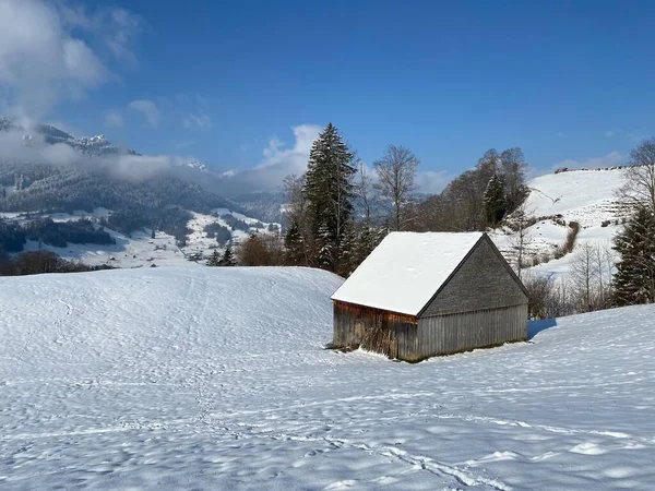 スイスの牧草地に新鮮な白い雪に覆われた先住民の高山の小屋と木製の牛の厩舎 Nesslau Obertoggenburg スイス スイス — ストック写真