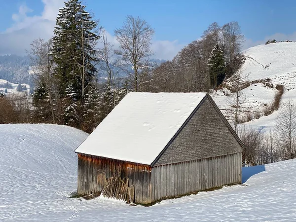 İsviçre çayırlarındaki yerli dağ kulübeleri ve ahşap ahırlar taze beyaz kar örtüsüyle kaplıdır, Nesslau - Obertoggenburg, İsviçre (Schweiz)
