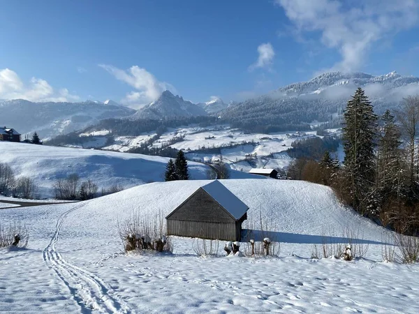 Cabañas Alpinas Indígenas Establos Madera Pastos Suizos Cubiertos Nieve Blanca —  Fotos de Stock