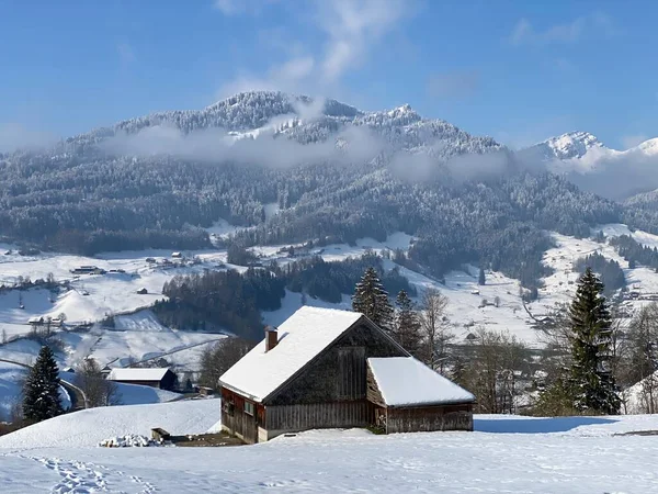 Ursprungliga Alpina Hyddor Och Stall Träboskap Schweiziska Betesmarker Täckta Med — Stockfoto