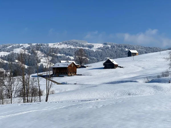 İsviçre çayırlarındaki yerli dağ kulübeleri ve ahşap ahırlar taze beyaz kar örtüsüyle kaplıdır, Nesslau - Obertoggenburg, İsviçre (Schweiz)