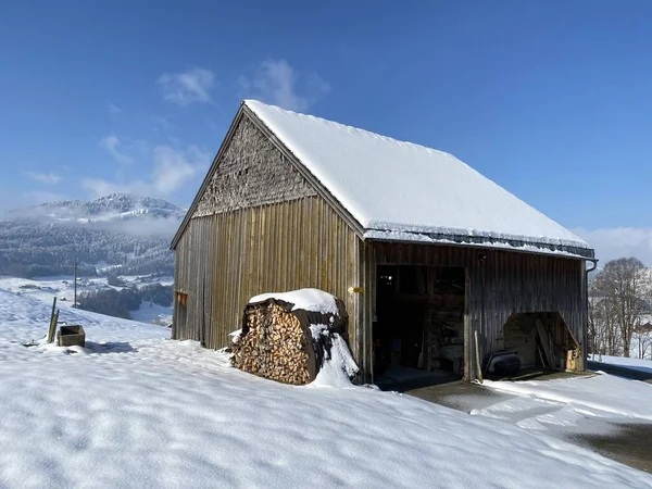 Cabañas Alpinas Indígenas Establos Madera Pastos Suizos Cubiertos Nieve Blanca —  Fotos de Stock