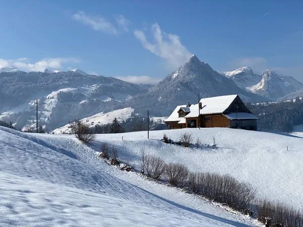 Cabanes Alpines Indigènes Écuries Bovins Bois Sur Les Pâturages Suisses — Photo