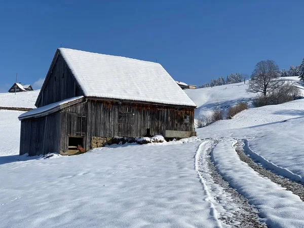 İsviçre çayırlarındaki yerli dağ kulübeleri ve ahşap ahırlar taze beyaz kar örtüsüyle kaplıdır, Nesslau - Obertoggenburg, İsviçre (Schweiz)