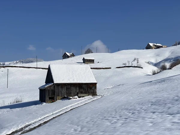 İsviçre çayırlarındaki yerli dağ kulübeleri ve ahşap ahırlar taze beyaz kar örtüsüyle kaplıdır, Nesslau - Obertoggenburg, İsviçre (Schweiz)