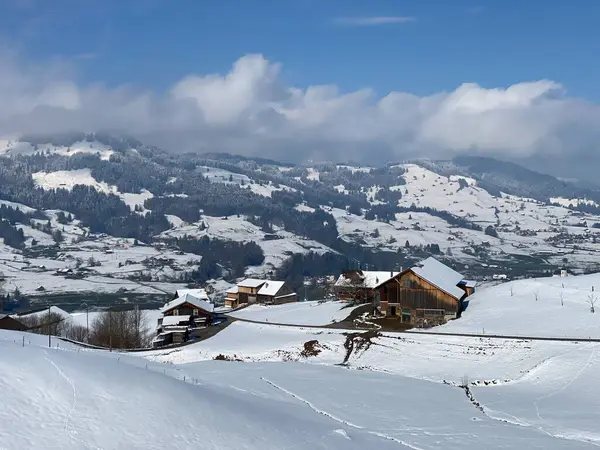 İsviçre çayırlarındaki yerli dağ kulübeleri ve ahşap ahırlar taze beyaz kar örtüsüyle kaplıdır, Nesslau - Obertoggenburg, İsviçre (Schweiz)