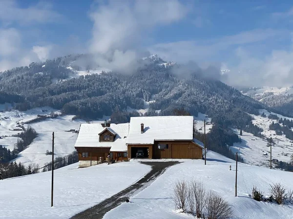 Cabañas Alpinas Indígenas Establos Madera Pastos Suizos Cubiertos Nieve Blanca — Foto de Stock