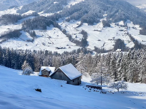 Indigenous Alpine Huts Wooden Cattle Stables Swiss Pastures Covered Fresh — Stock Photo, Image