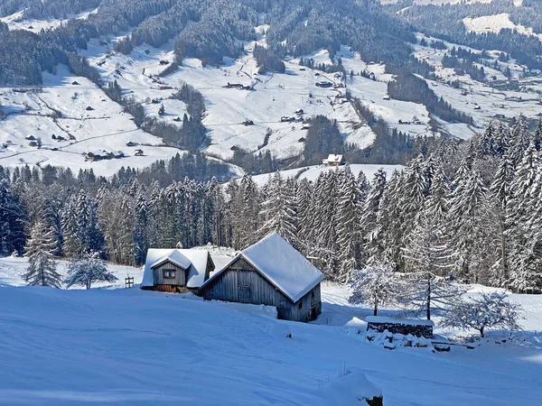 İsviçre çayırlarındaki yerli dağ kulübeleri ve ahşap ahırlar taze beyaz kar örtüsüyle kaplıdır, Nesslau - Obertoggenburg, İsviçre (Schweiz)