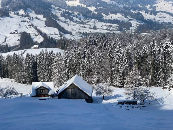 瑞士内斯劳 奥伯托根堡 施韦兹 瑞士牧场上的土著高山小屋和木制畜栏 覆盖着新鲜的白雪 — 图库照片