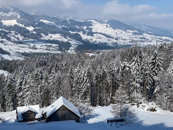 Rdzenne Schroniska Górskie Drewniane Stajnie Dla Bydła Szwajcarskich Pastwiskach Pokryte — Zdjęcie stockowe