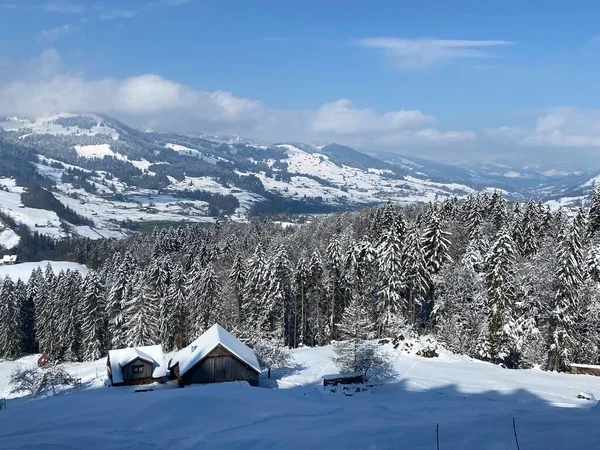 Őshonos Alpesi Kunyhók Faistállók Svájci Legelőkön Friss Fehér Hótakaróval Borítva — Stock Fotó