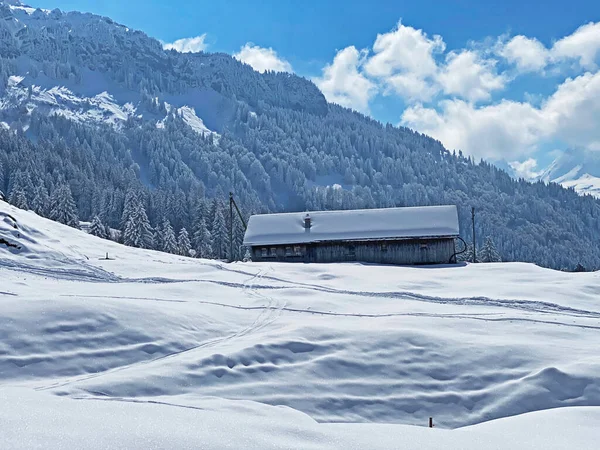İsviçre çayırlarındaki yerli dağ kulübeleri ve ahşap ahırlar taze beyaz kar örtüsüyle kaplıdır, Nesslau - Obertoggenburg, İsviçre (Schweiz)