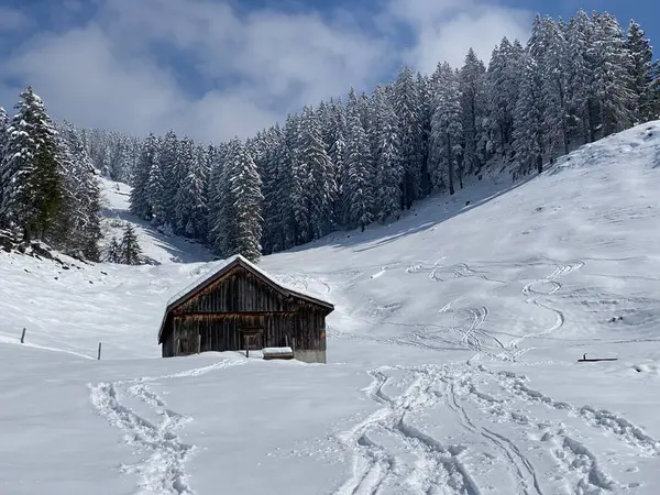 Cabañas Alpinas Indígenas Establos Madera Pastos Suizos Cubiertos Nieve Blanca — Foto de Stock