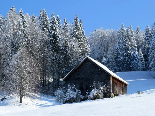 Cabanes Alpines Indigènes Écuries Bovins Bois Sur Les Pâturages Suisses — Photo