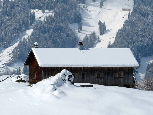 İsviçre çayırlarındaki yerli dağ kulübeleri ve ahşap ahırlar taze beyaz kar örtüsüyle kaplıdır, Nesslau - Obertoggenburg, İsviçre (Schweiz)