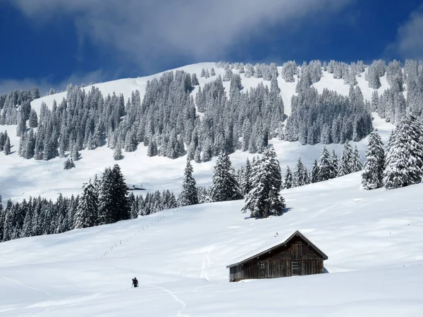 İsviçre çayırlarındaki yerli dağ kulübeleri ve ahşap ahırlar taze beyaz kar örtüsüyle kaplıdır, Nesslau - Obertoggenburg, İsviçre (Schweiz)