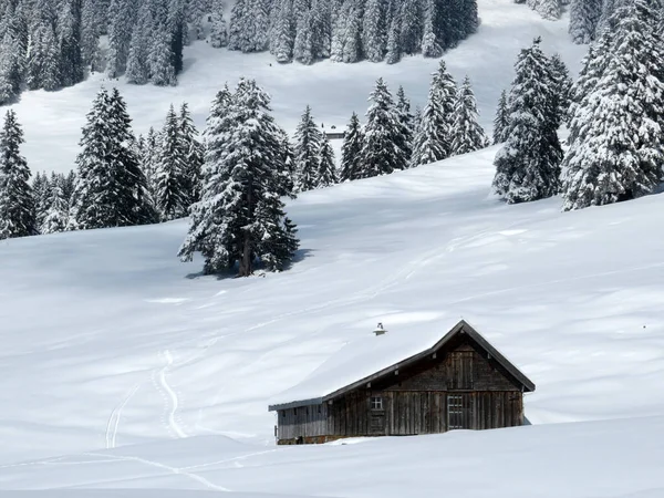 İsviçre çayırlarındaki yerli dağ kulübeleri ve ahşap ahırlar taze beyaz kar örtüsüyle kaplıdır, Nesslau - Obertoggenburg, İsviçre (Schweiz)
