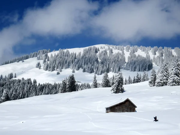 İsviçre çayırlarındaki yerli dağ kulübeleri ve ahşap ahırlar taze beyaz kar örtüsüyle kaplıdır, Nesslau - Obertoggenburg, İsviçre (Schweiz)