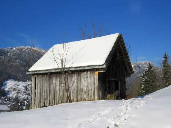 İsviçre çayırlarındaki yerli dağ kulübeleri ve ahşap ahırlar taze beyaz kar örtüsüyle kaplıdır, Nesslau - Obertoggenburg, İsviçre (Schweiz)