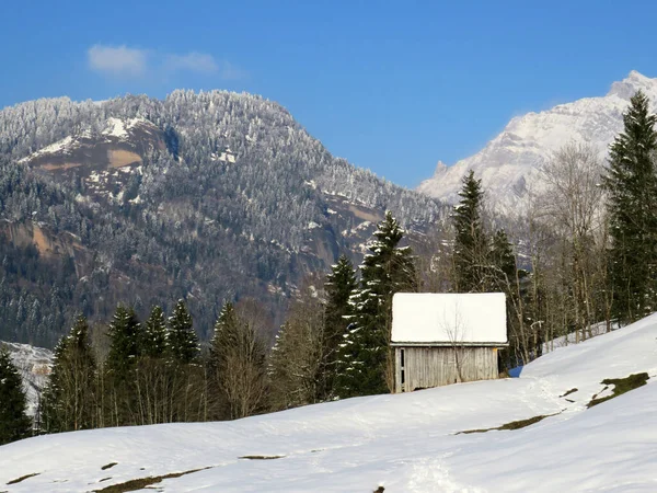 Sviçre Çayırlarındaki Yerli Dağ Kulübeleri Ahşap Ahırlar Taze Beyaz Kar — Stok fotoğraf