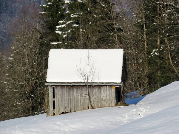 İsviçre çayırlarındaki yerli dağ kulübeleri ve ahşap ahırlar taze beyaz kar örtüsüyle kaplıdır, Nesslau - Obertoggenburg, İsviçre (Schweiz)