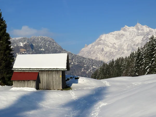 Inheemse Hutten Houten Rundveestallen Zwitserse Weiden Bedekt Met Verse Witte — Stockfoto