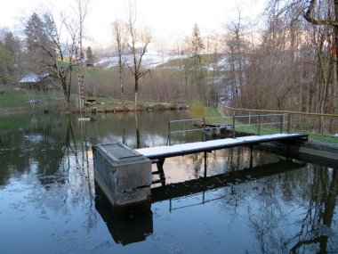 Baharın başlarında, Alpstein dağının yamaçlarında ve Alp Vadisi Obertoggenburg - Nesslau, İsviçre / Schweiz