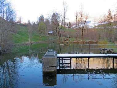 Baharın başlarında, Alpstein dağının yamaçlarında ve Alp Vadisi Obertoggenburg - Nesslau, İsviçre / Schweiz