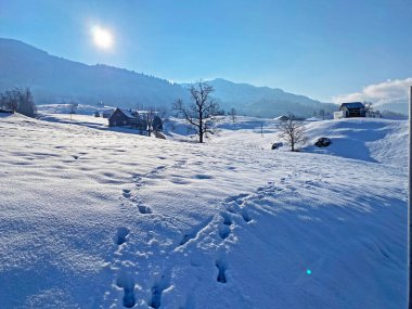 Alpstein dağlarının yamaçlarında ve İsviçre Alpleri 'nin taze dağlık kar örtüsünde, Nesslau - Obertoggenburg, İsviçre / Schweiz
