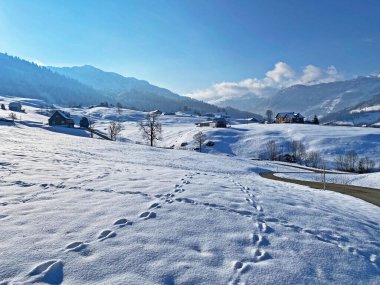 Alpstein dağlarının yamaçlarında ve İsviçre Alpleri 'nin taze dağlık kar örtüsünde, Nesslau - Obertoggenburg, İsviçre / Schweiz