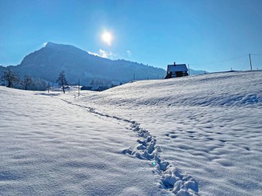 Alpstein dağlarının yamaçlarında ve İsviçre Alpleri 'nin taze dağlık kar örtüsünde, Nesslau - Obertoggenburg, İsviçre / Schweiz