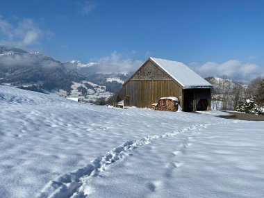 Alpstein dağlarının yamaçlarında ve İsviçre Alpleri 'nin taze dağlık kar örtüsünde, Nesslau - Obertoggenburg, İsviçre / Schweiz