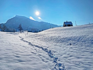 Alpstein dağlarının yamaçlarında ve İsviçre Alpleri 'nin taze dağlık kar örtüsünde, Nesslau - Obertoggenburg, İsviçre / Schweiz