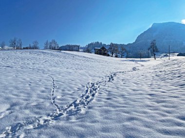 Alpstein dağlarının yamaçlarında ve İsviçre Alpleri 'nin taze dağlık kar örtüsünde, Nesslau - Obertoggenburg, İsviçre / Schweiz