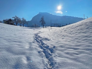 Alpstein dağlarının yamaçlarında ve İsviçre Alpleri 'nin taze dağlık kar örtüsünde, Nesslau - Obertoggenburg, İsviçre / Schweiz