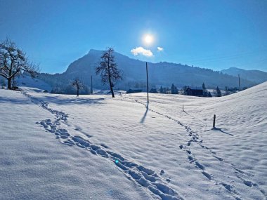 Alpstein dağlarının yamaçlarında ve İsviçre Alpleri 'nin taze dağlık kar örtüsünde, Nesslau - Obertoggenburg, İsviçre / Schweiz