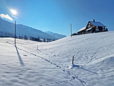 Alpstein dağlarının yamaçlarında ve İsviçre Alpleri 'nin taze dağlık kar örtüsünde, Nesslau - Obertoggenburg, İsviçre / Schweiz
