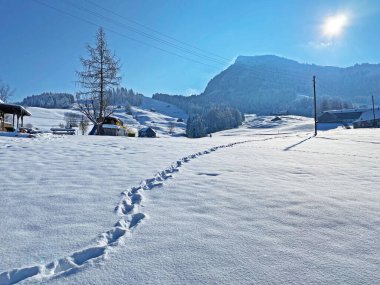 Alpstein dağlarının yamaçlarında ve İsviçre Alpleri 'nin taze dağlık kar örtüsünde, Nesslau - Obertoggenburg, İsviçre / Schweiz