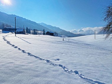 Alpstein dağlarının yamaçlarında ve İsviçre Alpleri 'nin taze dağlık kar örtüsünde, Nesslau - Obertoggenburg, İsviçre / Schweiz