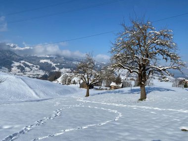 Alpstein dağlarının yamaçlarında ve İsviçre Alpleri 'nin taze dağlık kar örtüsünde, Nesslau - Obertoggenburg, İsviçre / Schweiz