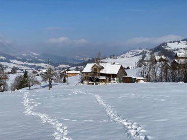 Alpstein dağlarının yamaçlarında ve İsviçre Alpleri 'nin taze dağlık kar örtüsünde, Nesslau - Obertoggenburg, İsviçre / Schweiz