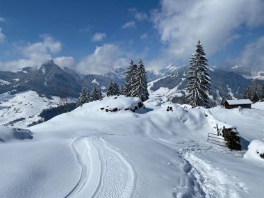 Alpstein dağlarının yamaçlarında ve İsviçre Alpleri 'nin taze dağlık kar örtüsünde, Nesslau - Obertoggenburg, İsviçre / Schweiz