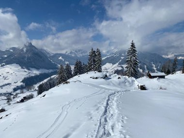 Alpstein dağlarının yamaçlarında ve İsviçre Alpleri 'nin taze dağlık kar örtüsünde, Nesslau - Obertoggenburg, İsviçre / Schweiz