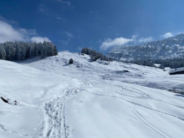 Alpstein dağlarının yamaçlarında ve İsviçre Alpleri 'nin taze dağlık kar örtüsünde, Nesslau - Obertoggenburg, İsviçre / Schweiz