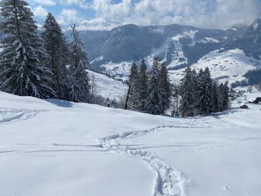 Alpstein dağlarının yamaçlarında ve İsviçre Alpleri 'nin taze dağlık kar örtüsünde, Nesslau - Obertoggenburg, İsviçre / Schweiz
