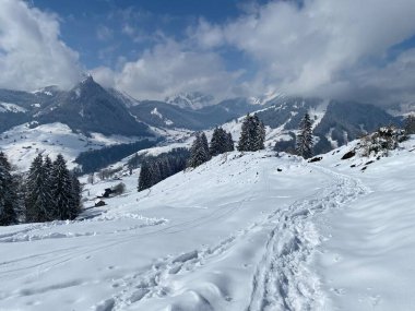 Alpstein dağlarının yamaçlarında ve İsviçre Alpleri 'nin taze dağlık kar örtüsünde, Nesslau - Obertoggenburg, İsviçre / Schweiz
