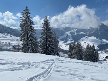 Alpstein dağlarının yamaçlarında ve İsviçre Alpleri 'nin taze dağlık kar örtüsünde, Nesslau - Obertoggenburg, İsviçre / Schweiz