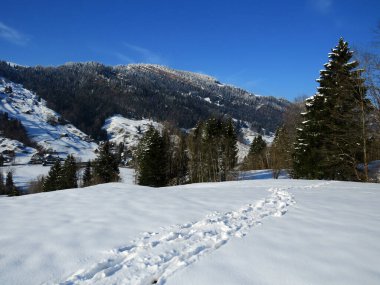 Alpstein dağlarının yamaçlarında ve İsviçre Alpleri 'nin taze dağlık kar örtüsünde, Nesslau - Obertoggenburg, İsviçre / Schweiz
